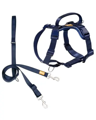 DF Freedom No Pull Martingale Dog Harness and leash set in navy blue