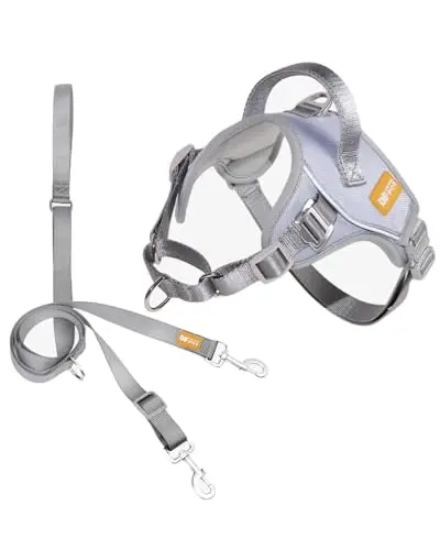 DF No Pull Martingale Dog Harness and leash set with silent metal buckle in gray