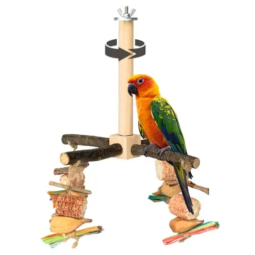AGAPE rotating wooden perch bird toy with chew toys and exercise wheel