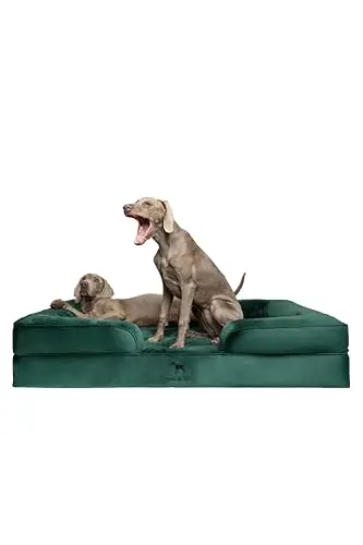 NOAH & PAW XXL orthopedic dog bed with velvet cover and raised bolsters