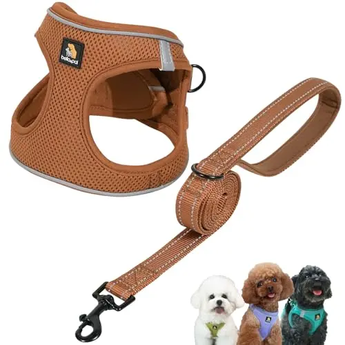BELLA & PAL mokka colored step-in vest harness for small and medium dogs