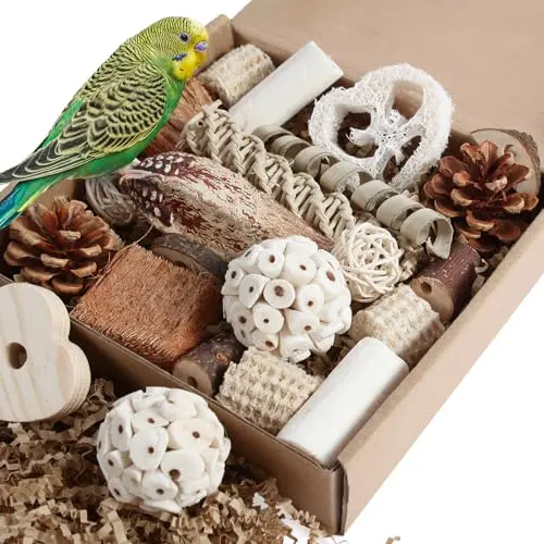 KYOUKI bird foraging box toy with pine cones, apple wood, and other natural materials
