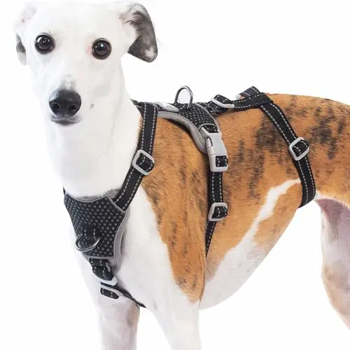 Huntboo black escape proof dog harness with multiple adjustment straps