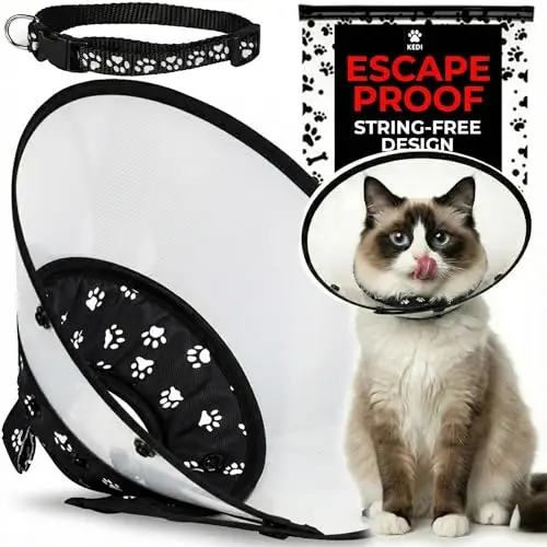 Kedi Cats Solutions black escape-proof cat cone with viewing window