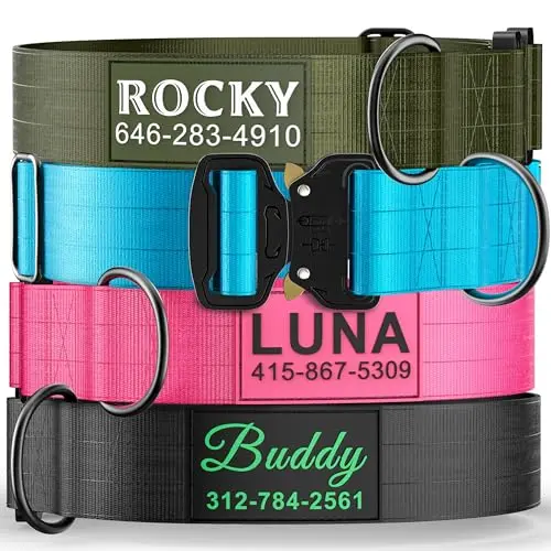 DAZNER personalized tactical dog collar with sewn name on thick nylon webbing