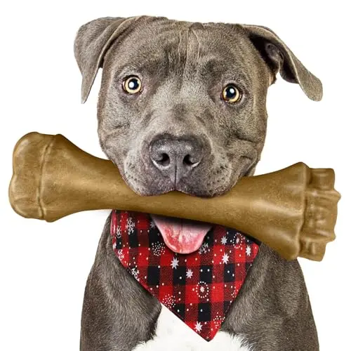 PUPTILY amber-colored bone-shaped heavy duty nylon dog chew toy