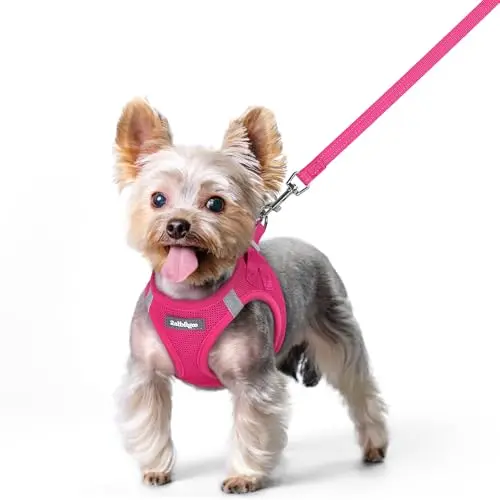 Rabbitgoo step-in dog harness and leash set in rose red