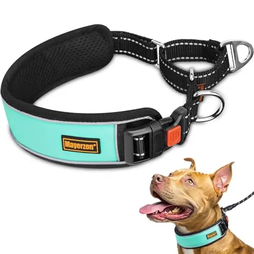 Mayerzon teal, 2-inch wide martingale collar designed for large, strong dogs.