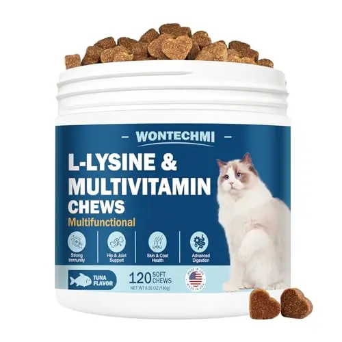 WONTECHMI L-Lysine Supplement chews for cats in a jar