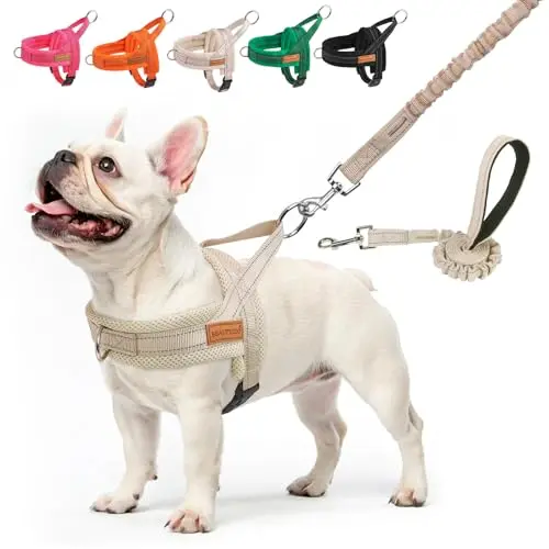 BEAUTYZOO Beige dog harness and leash set