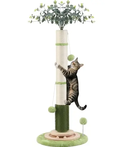 COUNER 45-inch green cat scratching post with toys and self-groomer