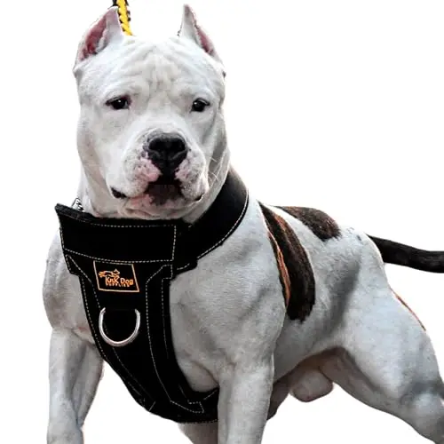 KNK heavy-duty step-in dog harness designed for bully breeds