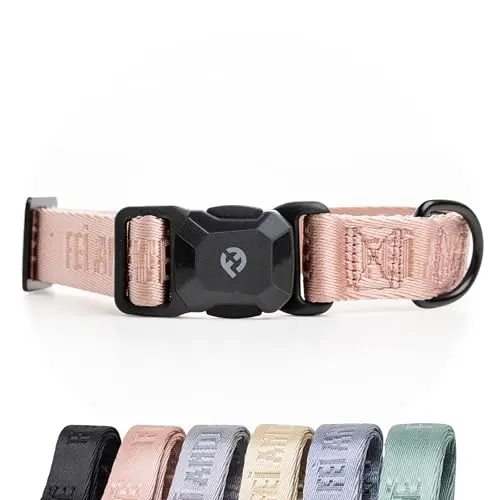 Fei and Eve Blush colored nylon dog collar with magnetic buckle