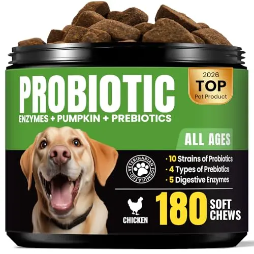 BuddyCheer Probiotic Soft Chews for Dogs in a yellow jar, 180 count