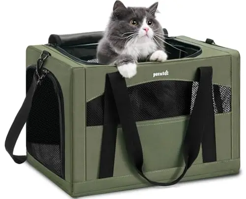 PECUTE green cat carrier with a stable steel frame and hidden partition