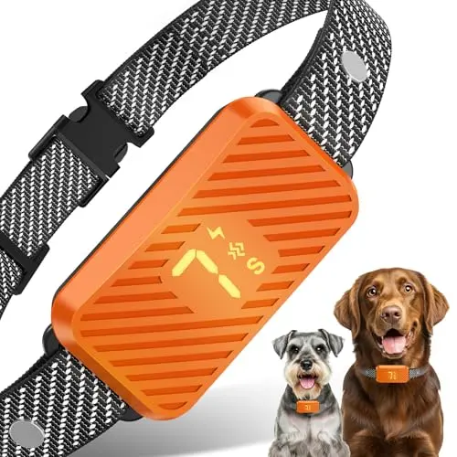 KJKZO orange bark collar with buckle closure and compact receiver box