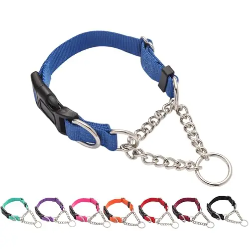 Yunleparks blue reflective martingale dog collar