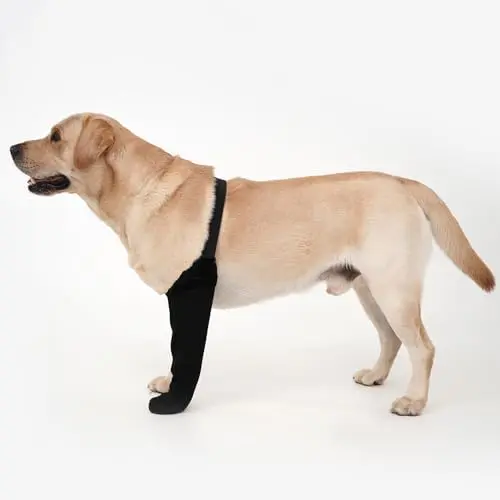 yrenoer black dog recovery socks with reinforced material