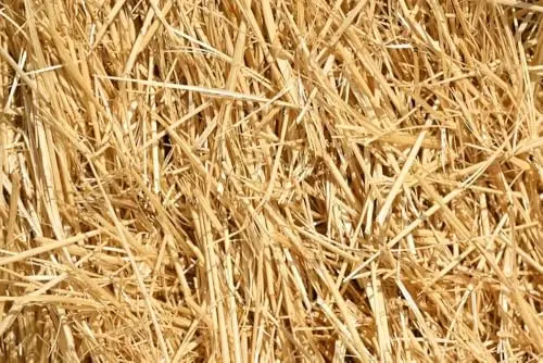 1-pound natural wheat straw bale for animal bedding and garden mulch