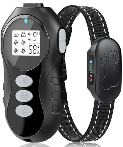 DDZ black budget dog shock collar with remote and accessories