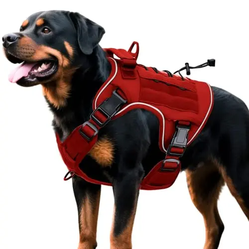 Bruvoalon red heavy-duty tactical dog harness with reflective trim on a large dog