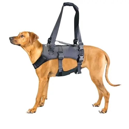 Black mesh and nylon full body dog harness with support handles.