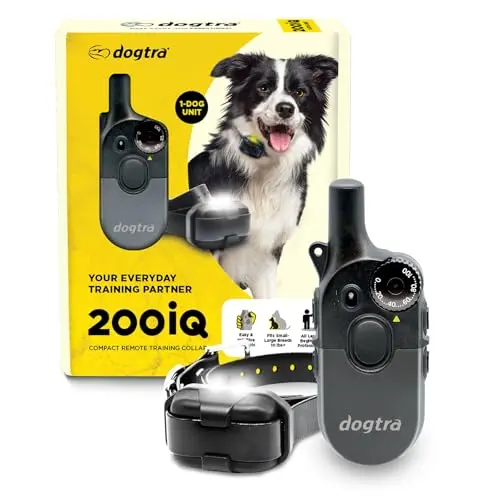 Dogtra 200iQ professional remote training e-collar in gray