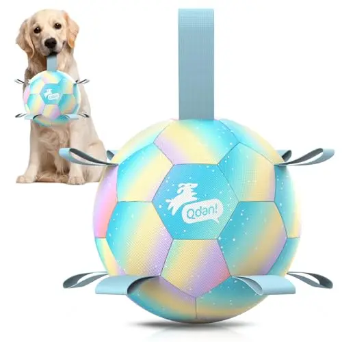 QDAN gradient blue dog soccer ball with straps for medium to large dogs