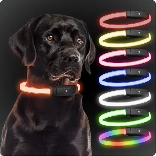 PAJ Light LED dog collar with screw lock design glowing in multiple colors