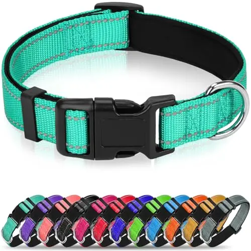 Erbine reflective dog collar with wide nylon band and soft padding