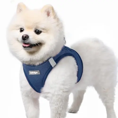 rabbitgoo Small Step-In Mesh Dog Harness in Navy Blue