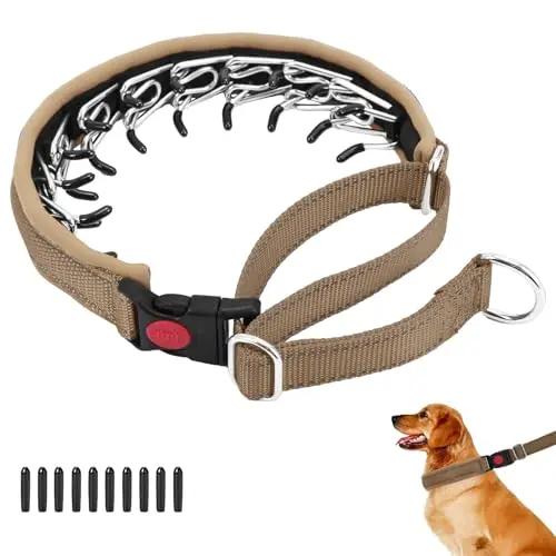 Anglevate martingale no pull dog collar in khaki with stainless steel chain and buckle