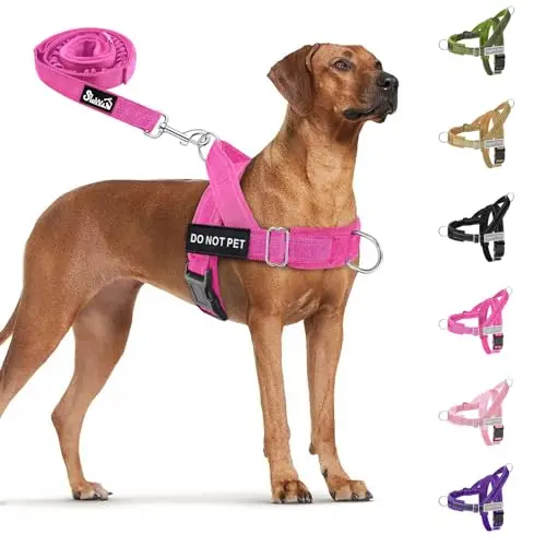 SlowTon Heavy Duty No Pull Dog Harness and Leash Set in Fuchsia for large dogs