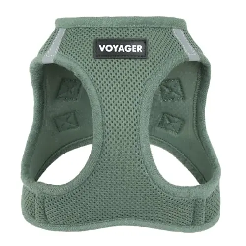 Best Pet Supplies step-in air mesh harness in moss green for small dogs