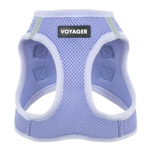 Best Pet Supplies Voyager step-in air mesh dog harness in lavender