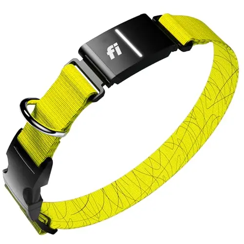Fi Series 3+ smart dog tracker collar in yellow with LED light