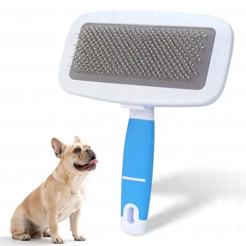 KEUYE French Bulldog brush with stainless steel bristles and floating comb