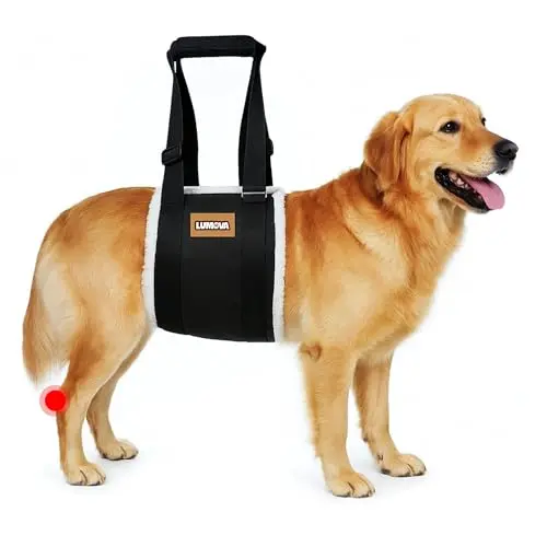 Black dog support sling with plush lining and reflective strips.