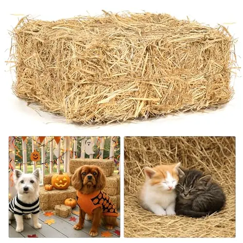 BobbleT 5-pound large natural wheat straw bale for cat shelters and decoration