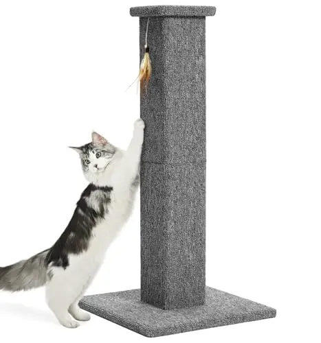 Made4Pets 32 Inch Carpet Covered Cat Scratcher with wide base and feather toy