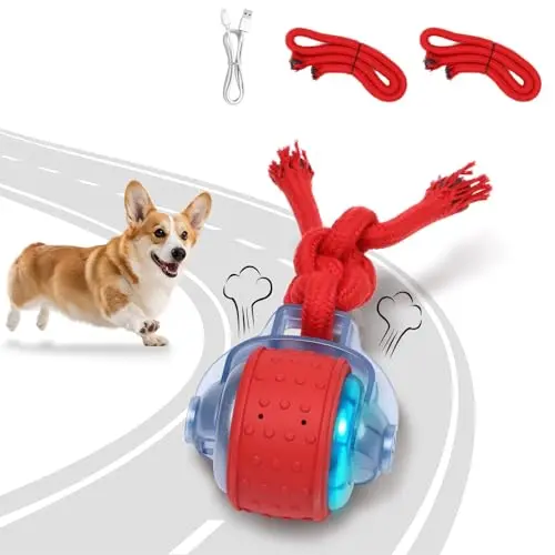 BENTOPAL red rechargeable automatic moving dog toy ball
