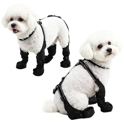 BECROWM waterproof dog boots for small to medium dogs