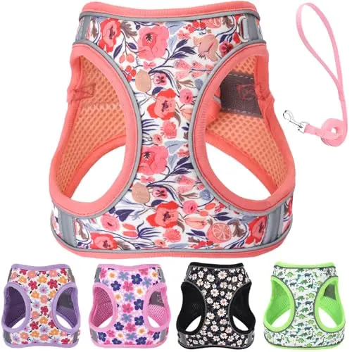 QAORD orange floral pattern step-in dog harness and leash set for small dogs