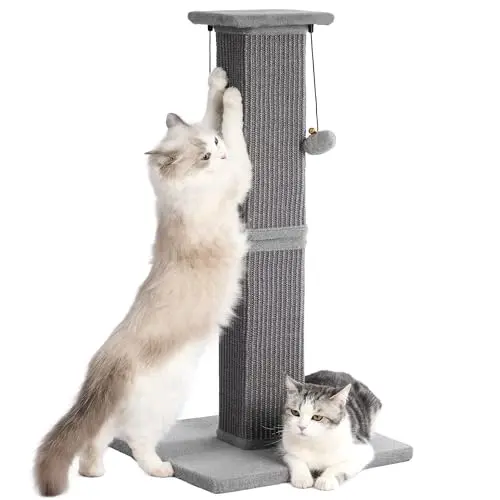 Pawfessor 33-inch scratching post with square sisal column and heavy base