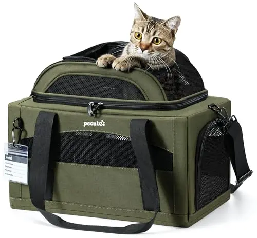 Pecute dark green expandable pet carrier with top mesh extension