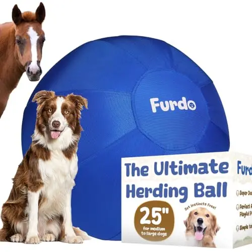 Furdo 25-inch blue herding ball for dogs in a grassy yard
