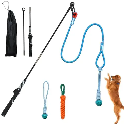Lamfer black and blue flirt pole dog toy with rope, chew ball, and carrot attachment