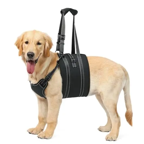 Black dog lift harness with chest patch and back buckle for security.