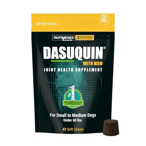 Nutramax Dasuquin soft chew joint supplement for small to medium dogs