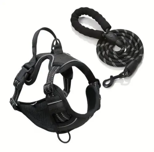 DANYPAC black dog harness and braided rope leash set